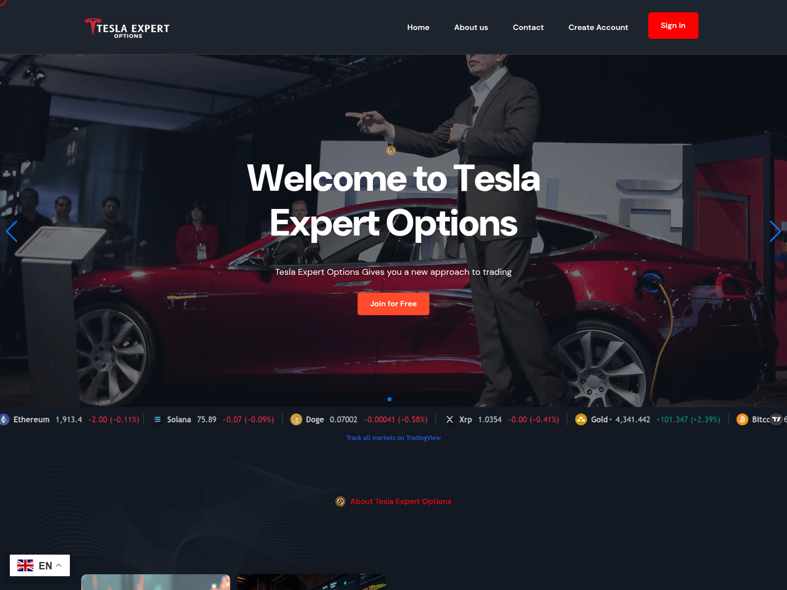 Screenshot of eoptiontrade.com