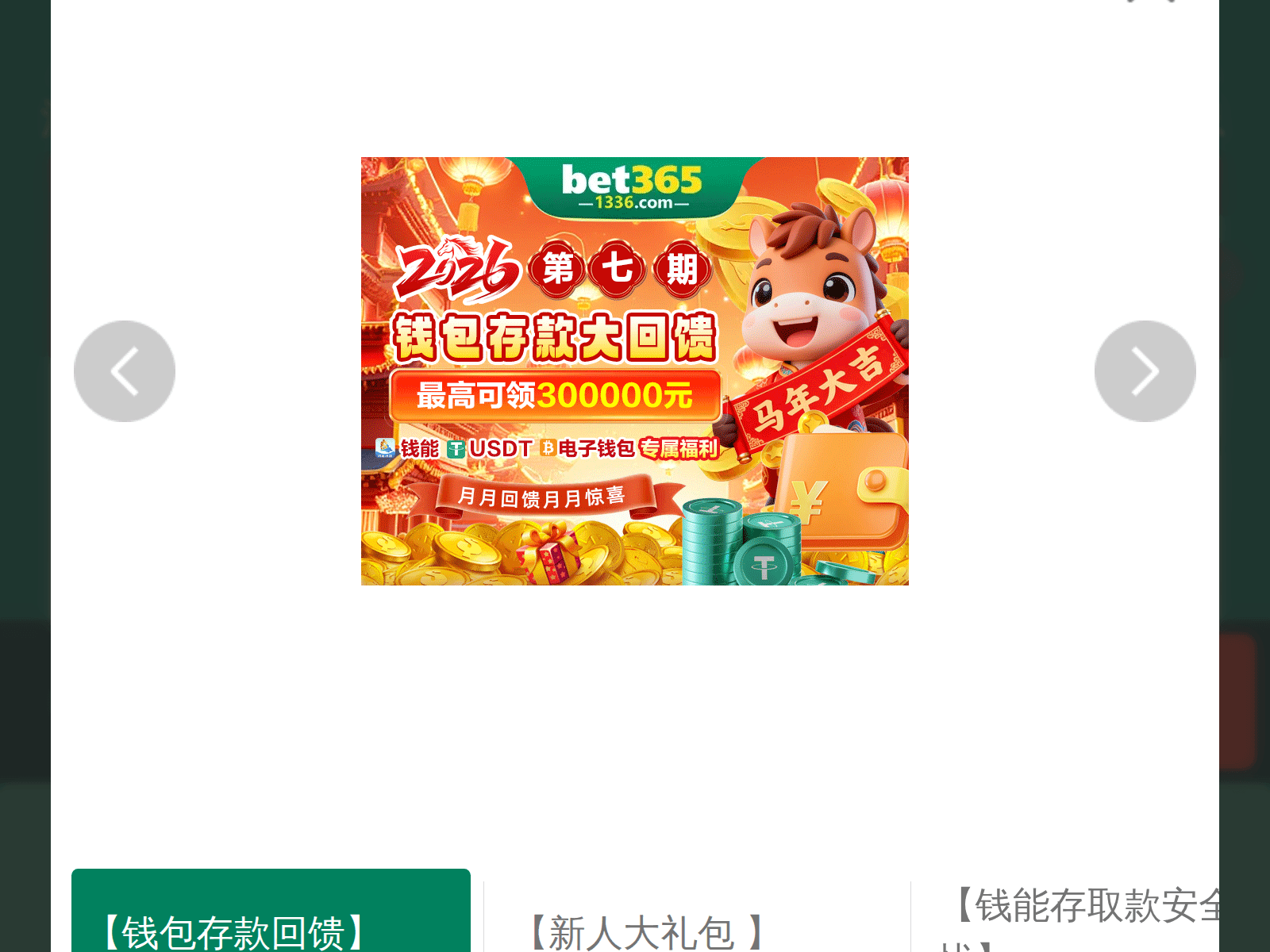 Screenshot of 1336ooo7.com