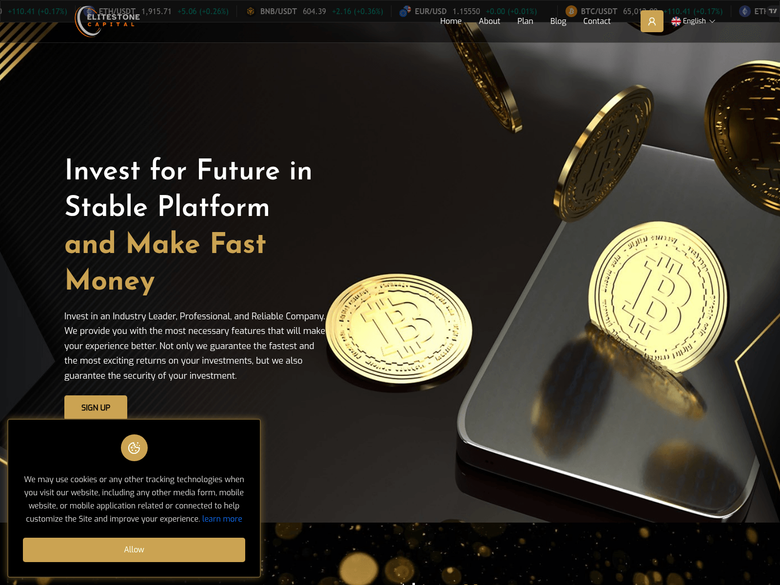 Screenshot of elitestonecap.com