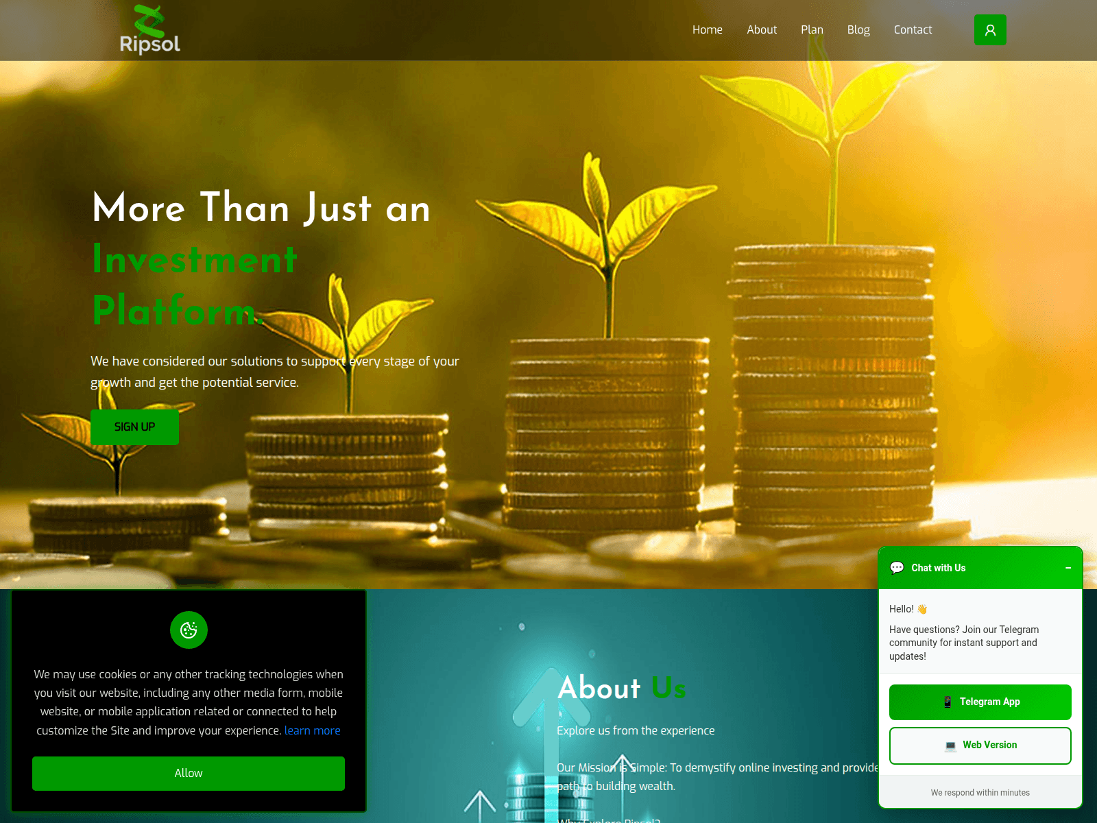 Screenshot of ripsol.com.ng