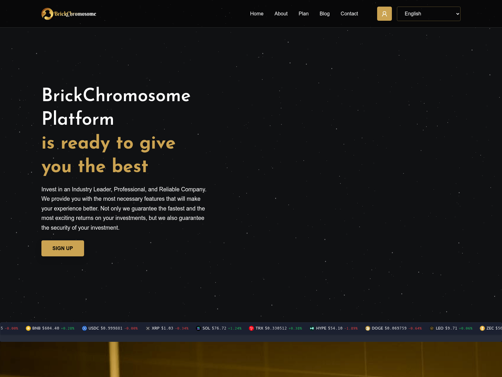 Screenshot of brickchromosome.com