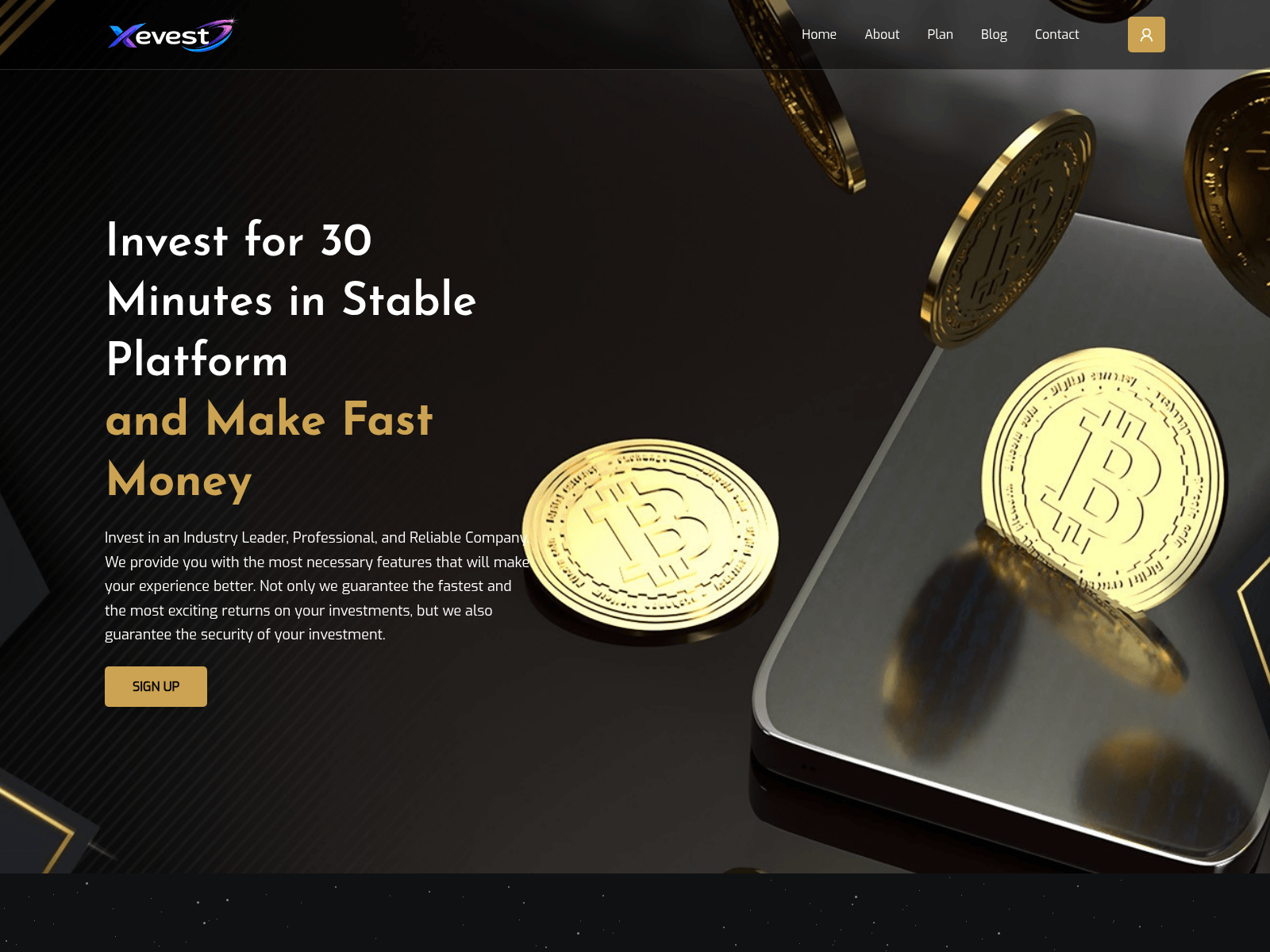 Screenshot of xevest.com