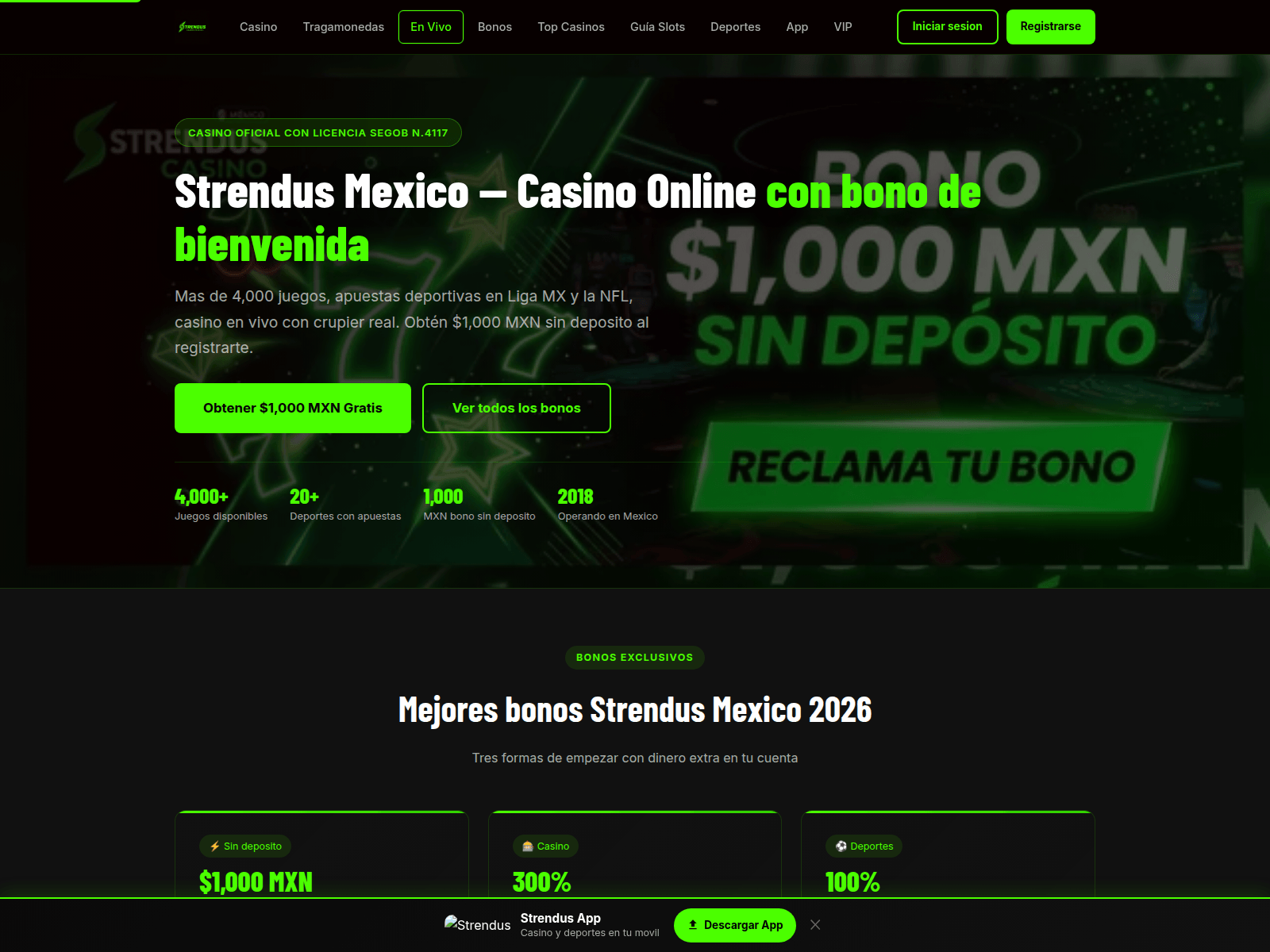 Screenshot of strendus-mx.com.mx