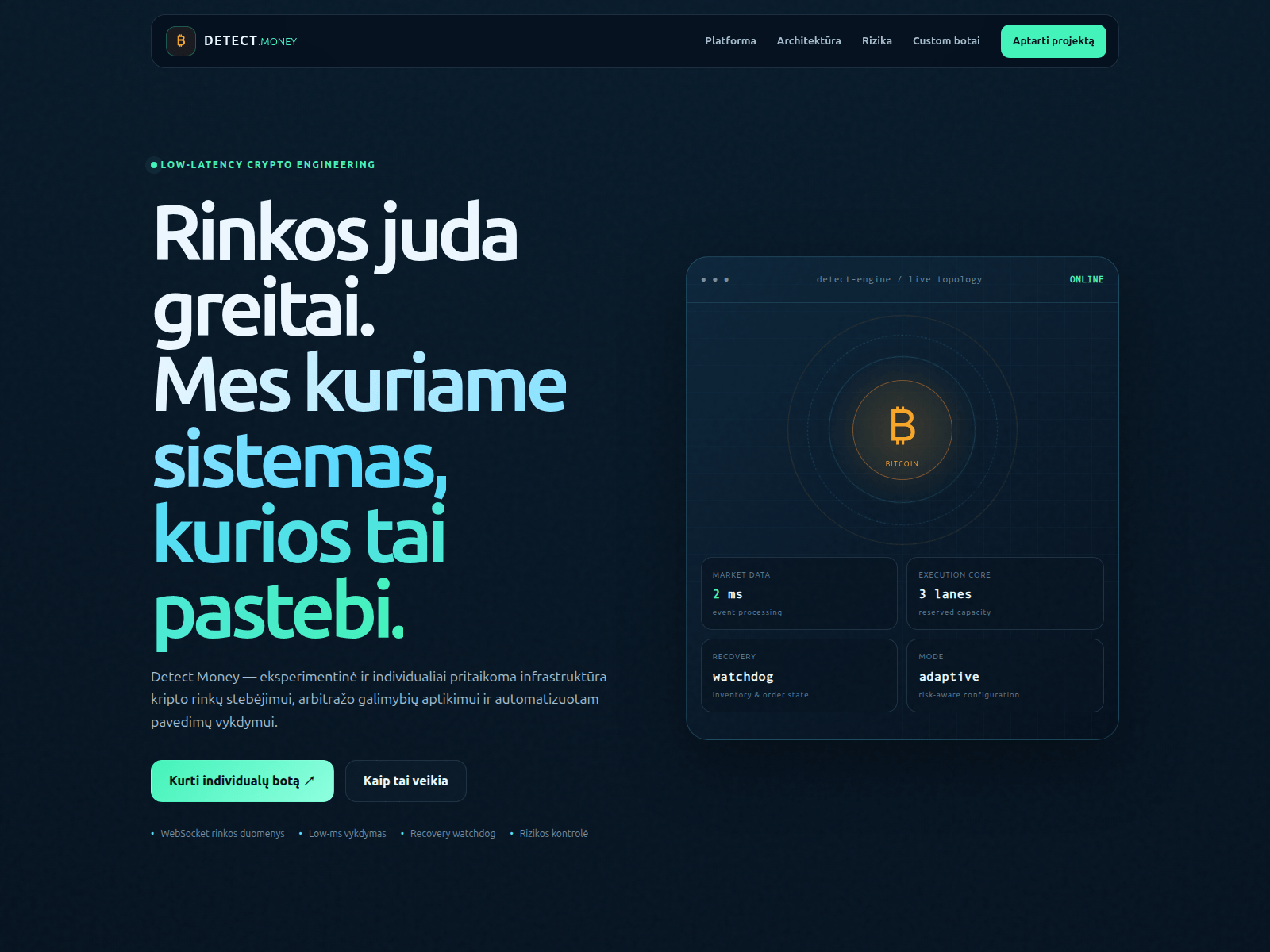Screenshot of detect.lt