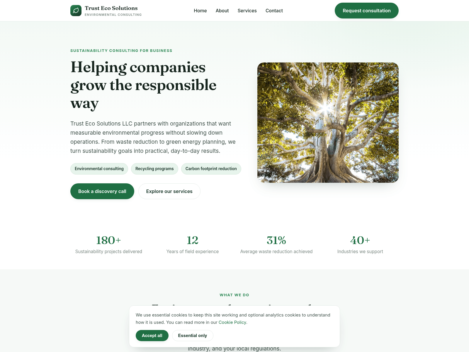 Screenshot of promo-company.com