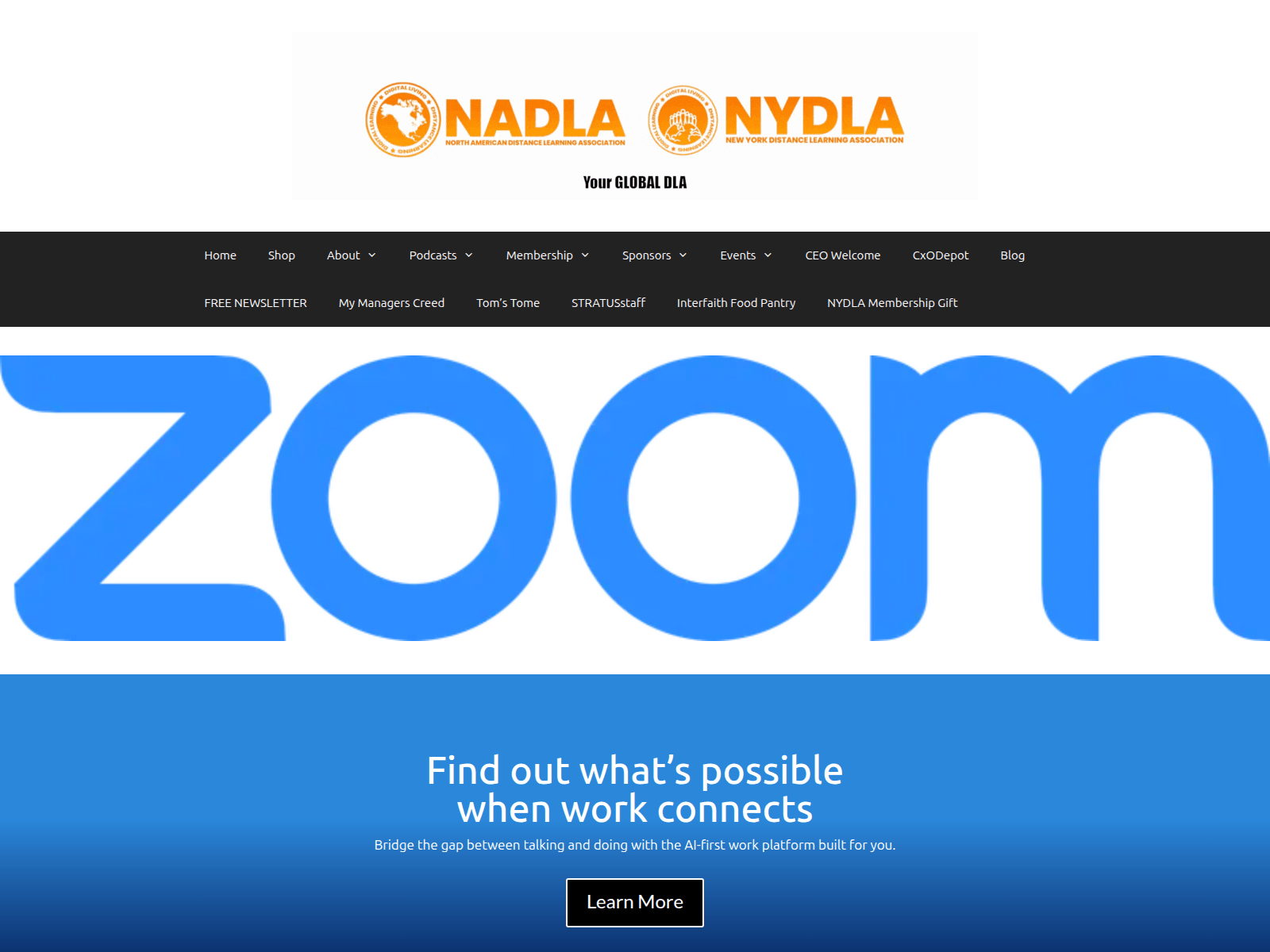 Screenshot of getzoommate.com