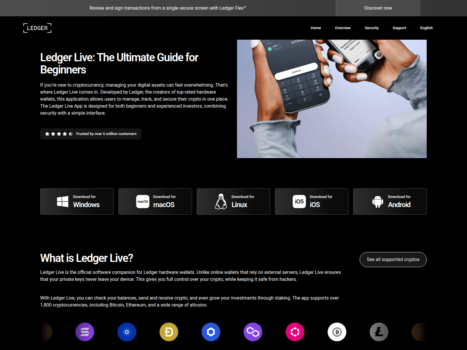 Screenshot of ledgers-live.us