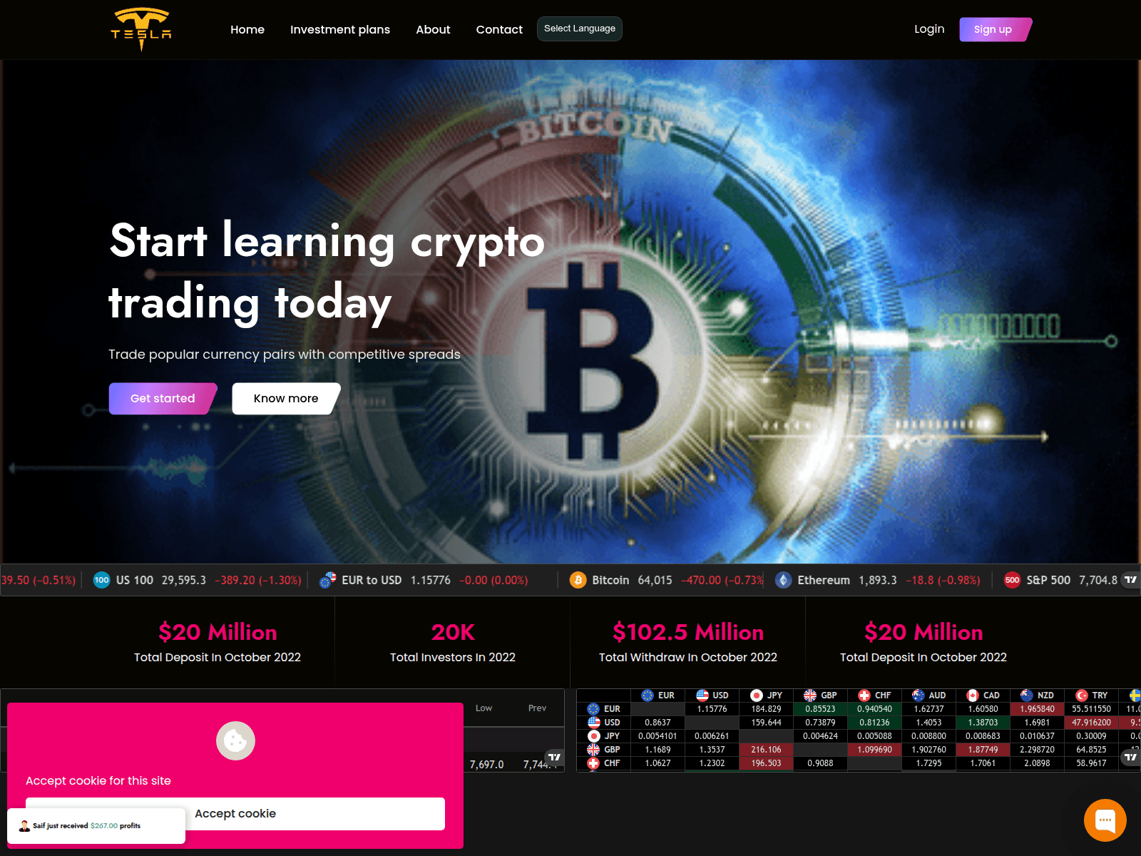Screenshot of tslaxo.com