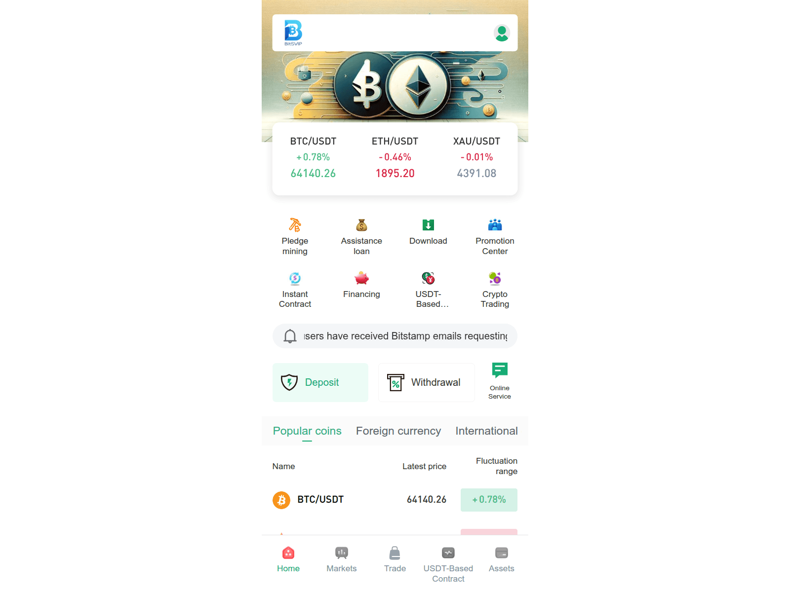 Screenshot of bits-vip.com