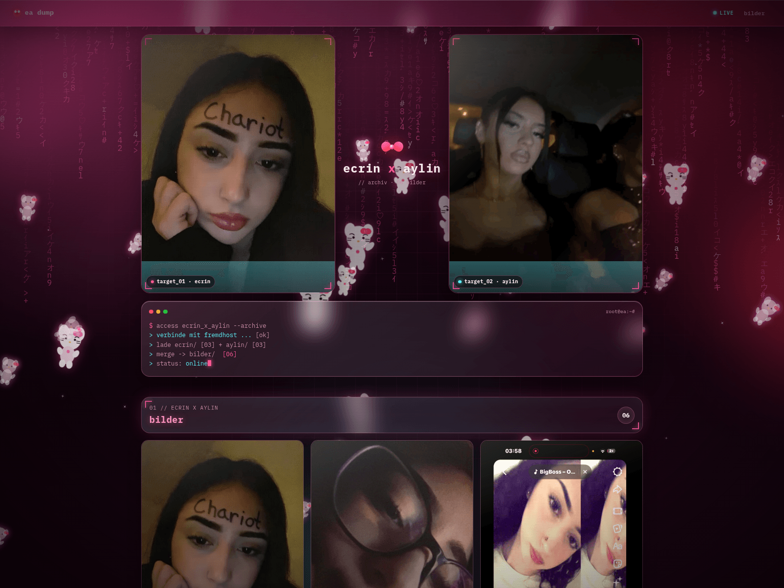 Screenshot of ecrin.wiki