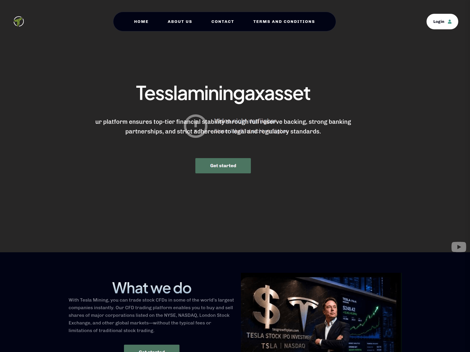 Screenshot of teslaminingaxasset.com