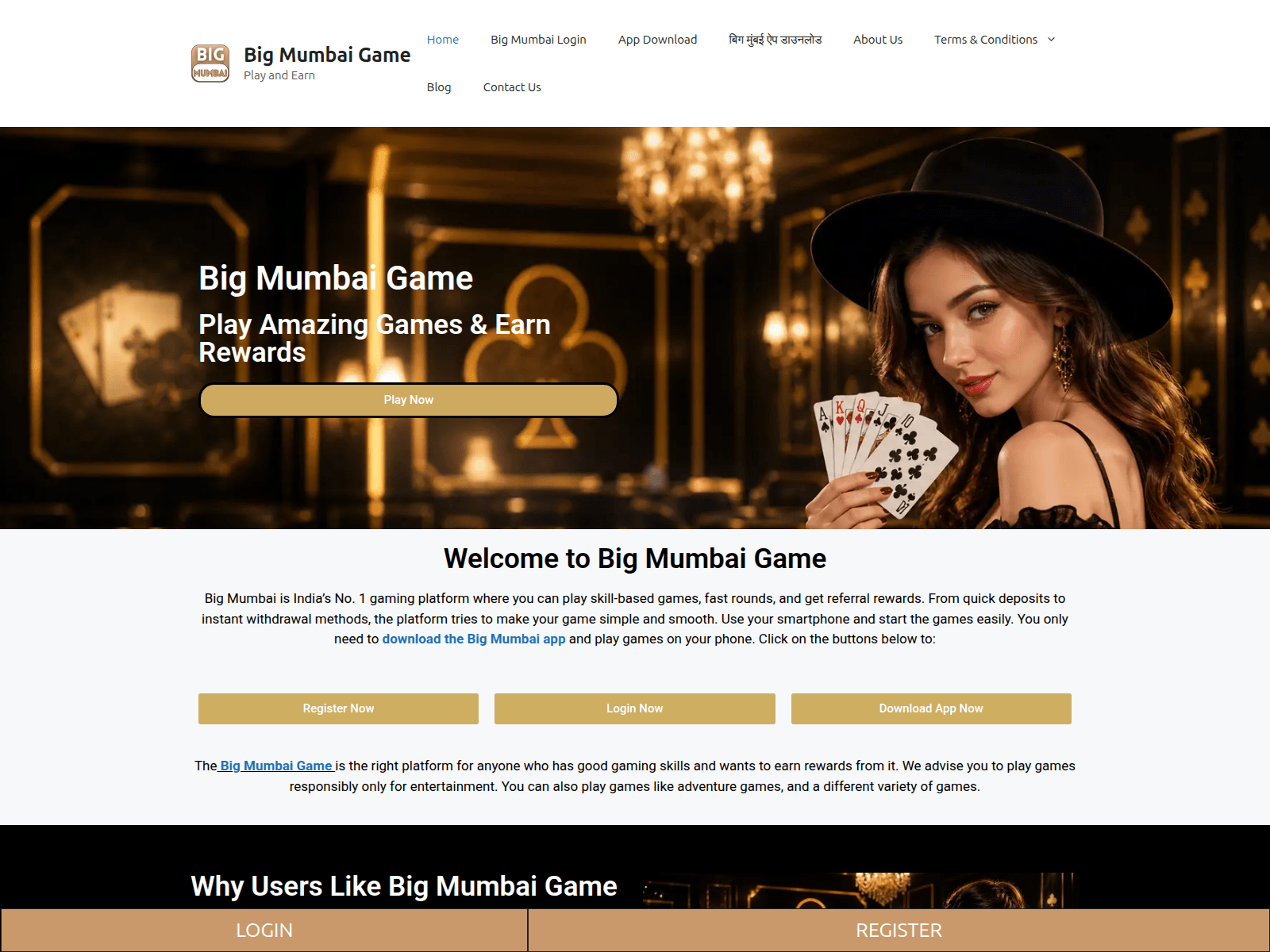 Screenshot of bigmumbaigame.co