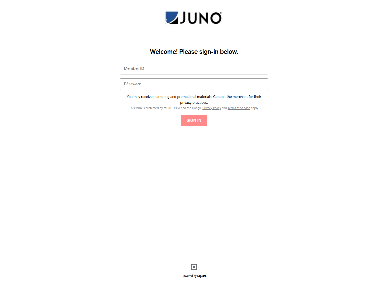 Screenshot of juno-web-101555.square.site