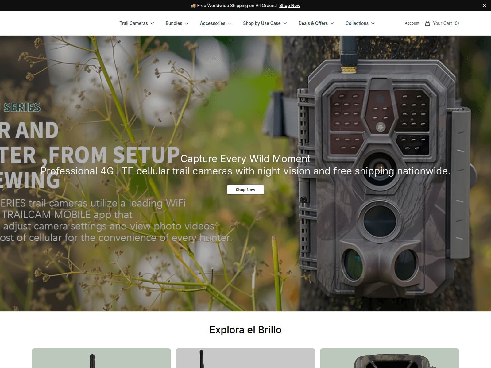 Screenshot of blazevideodirect.shop