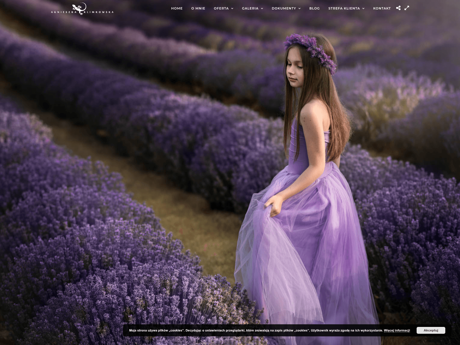 Screenshot of agnieszkaklimkowska.live