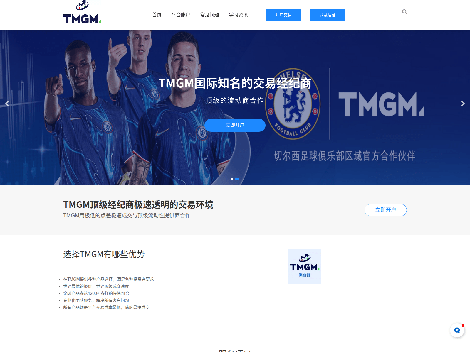 Screenshot of tmgms.com