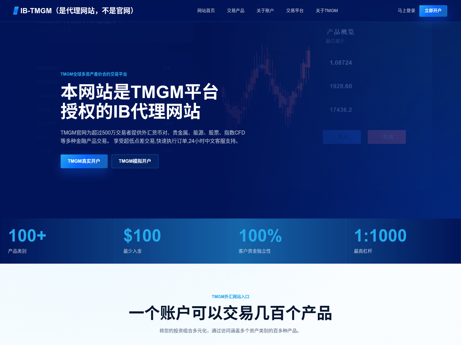 Screenshot of tmgmcntrade.com