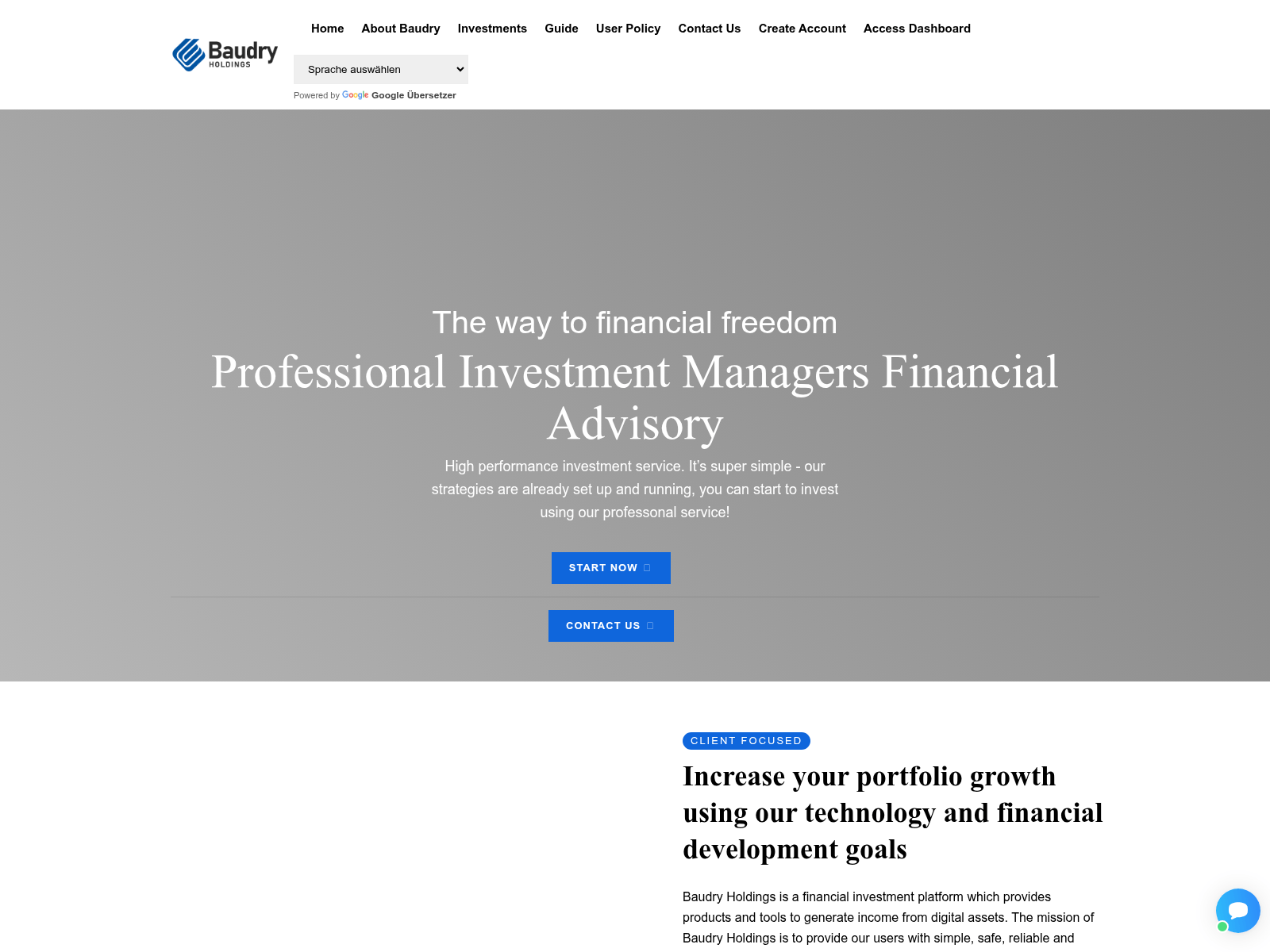 Знімок екрана baudryholdings.com