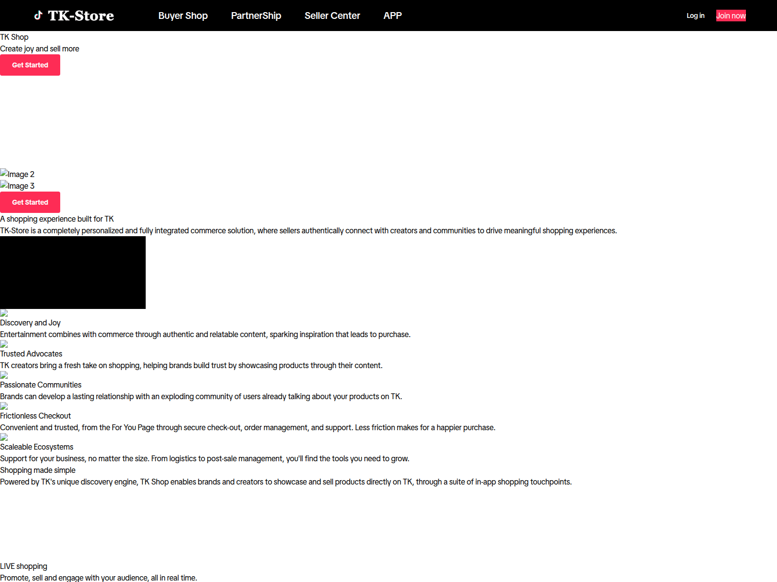 Screenshot of rironicmall.com