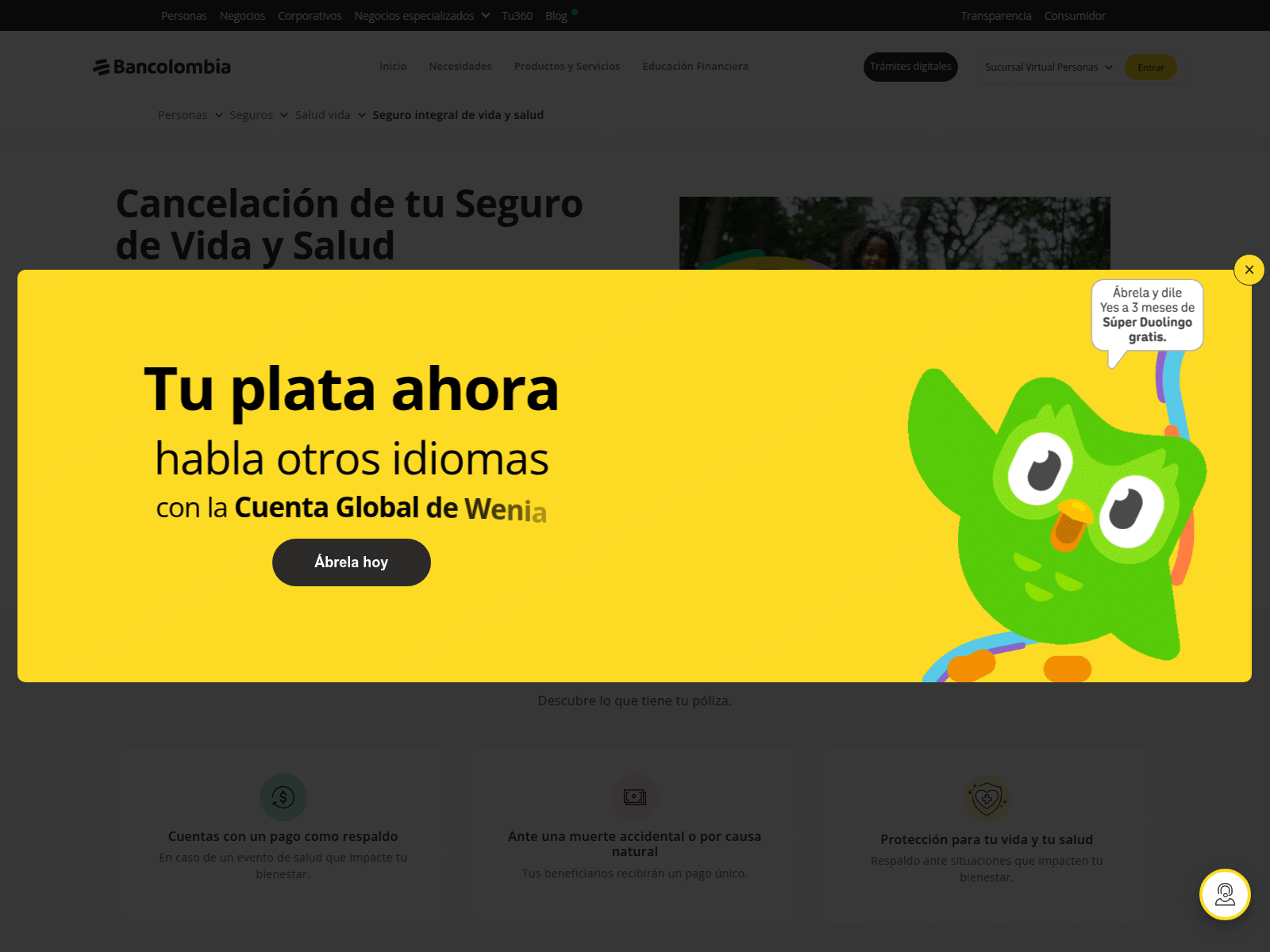 Screenshot of alzinfoseg.com