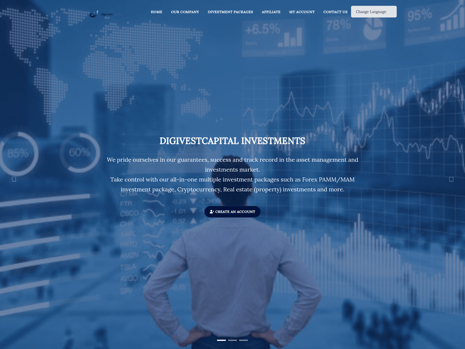 [Ekran görüntüsü] digivestcapital.org