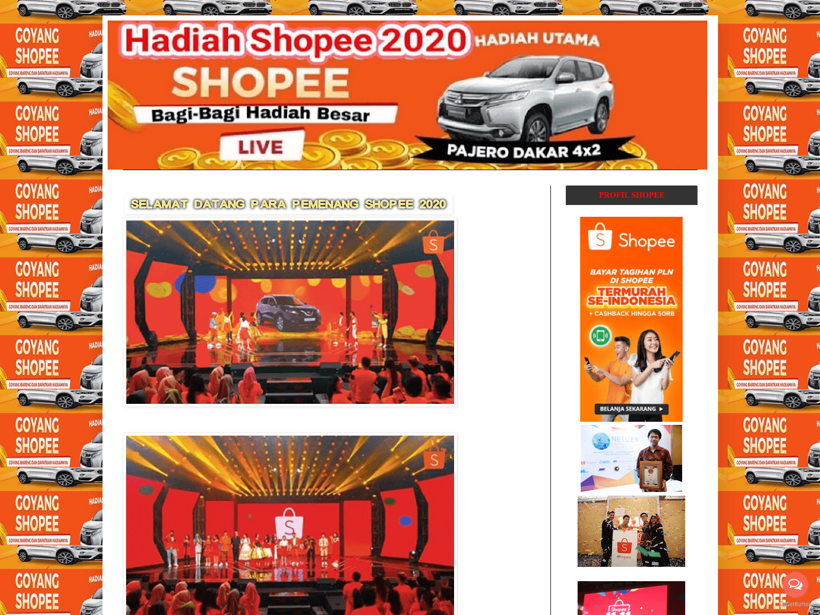 Screenshot of shopeeco47.blogspot.com