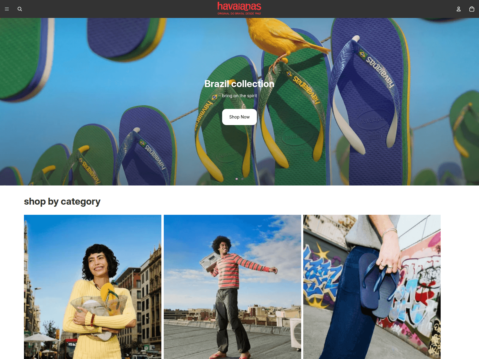 Screenshot of havaianashopus.com