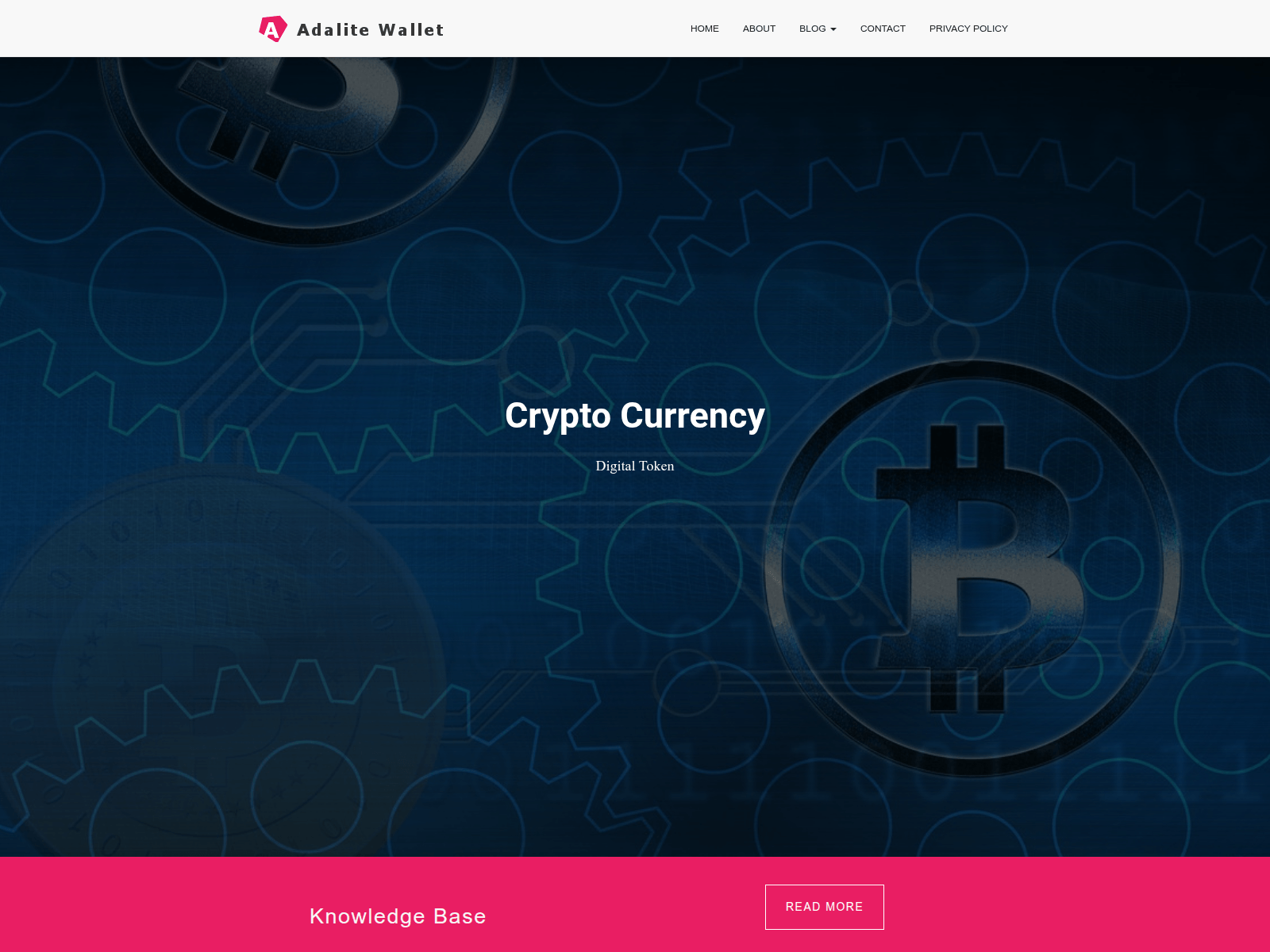 Screenshot of www.adalitewallet.com