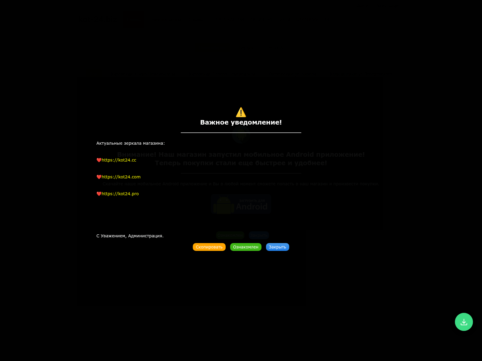 Screenshot of kot24.pro