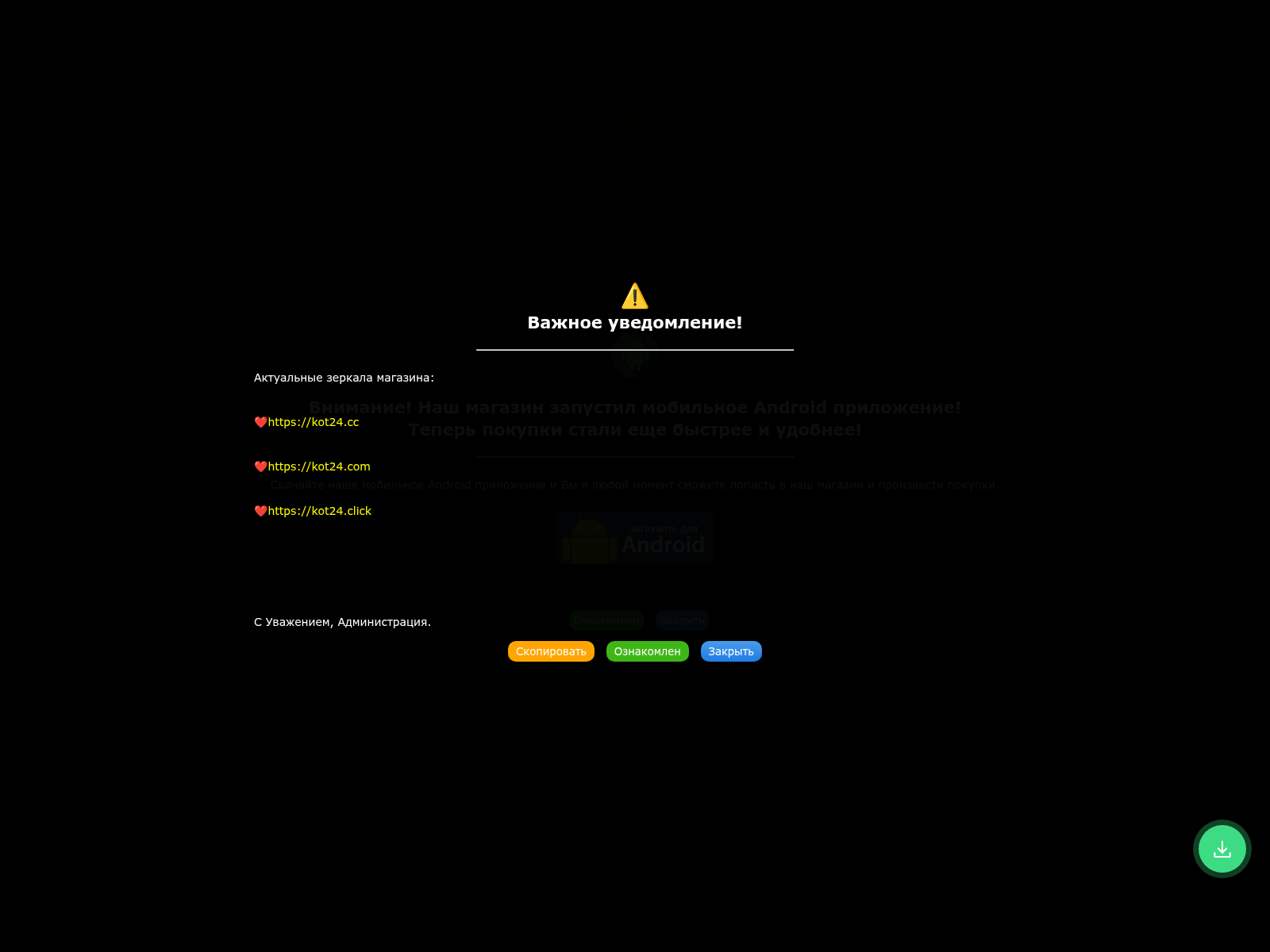 Screenshot of kot24.click