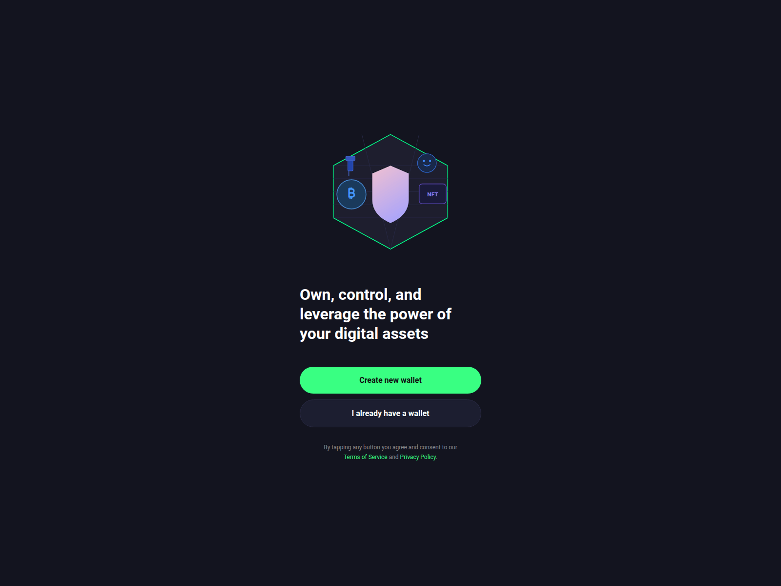 Screenshot of safepalweb.com