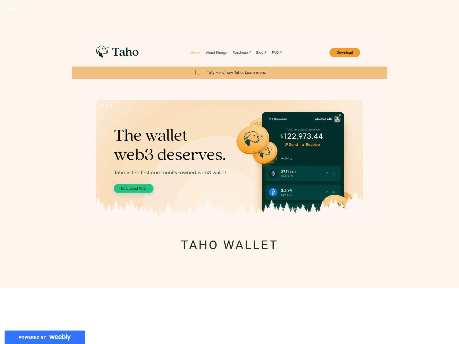 Screenshot of tahowallet.weebly.com