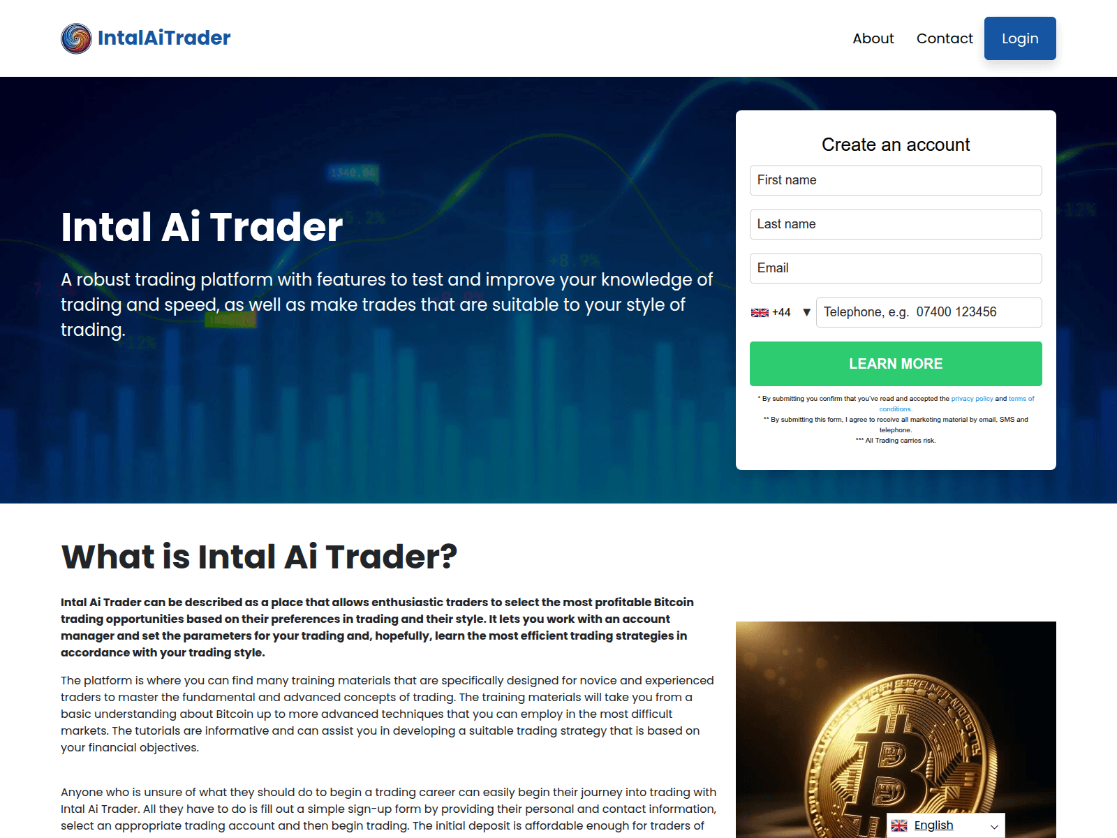 Screenshot of 500-intal.org
