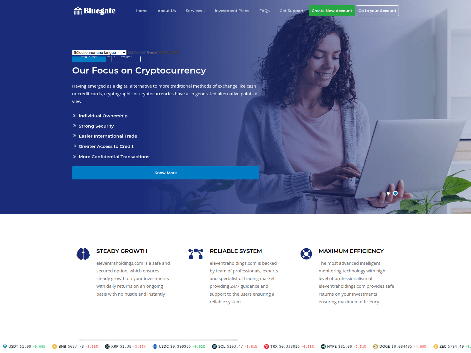 Screenshot of eleventraholdings.com