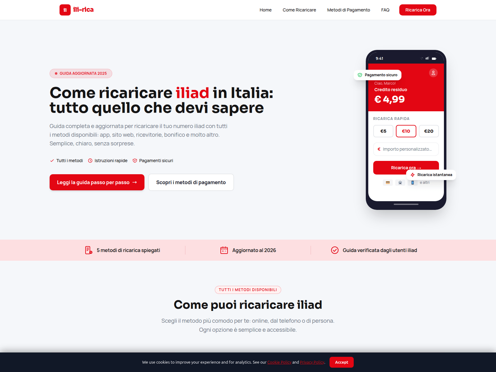 Screenshot of ili-rica.digital