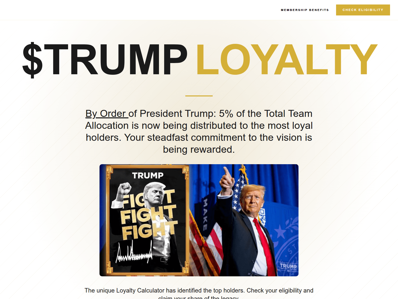Screenshot of checkers-trumpmemes.com