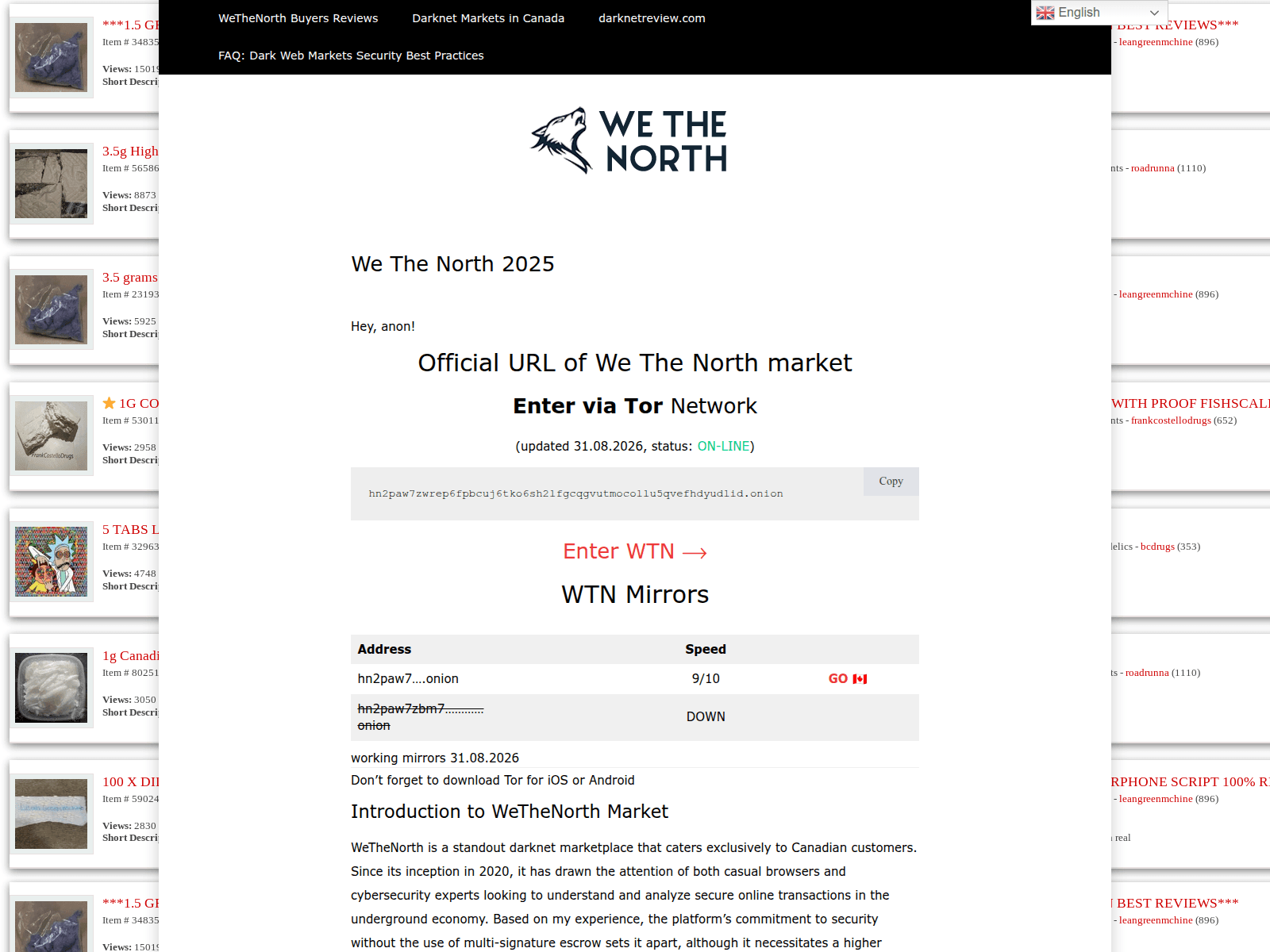 Screenshot of wethenorthlink.com