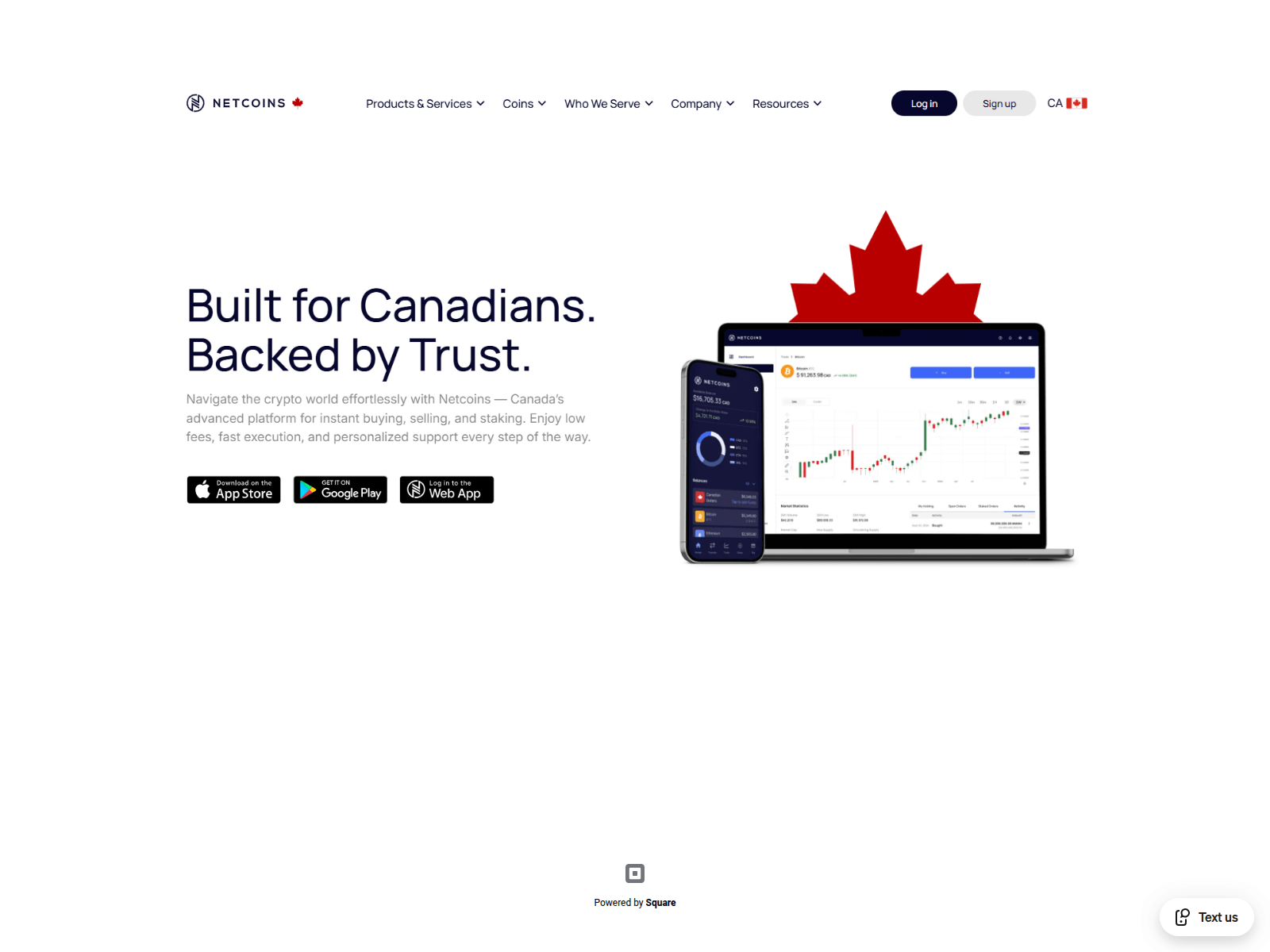 Знімок екрана cdn-netcoins-ca-auth.square.site