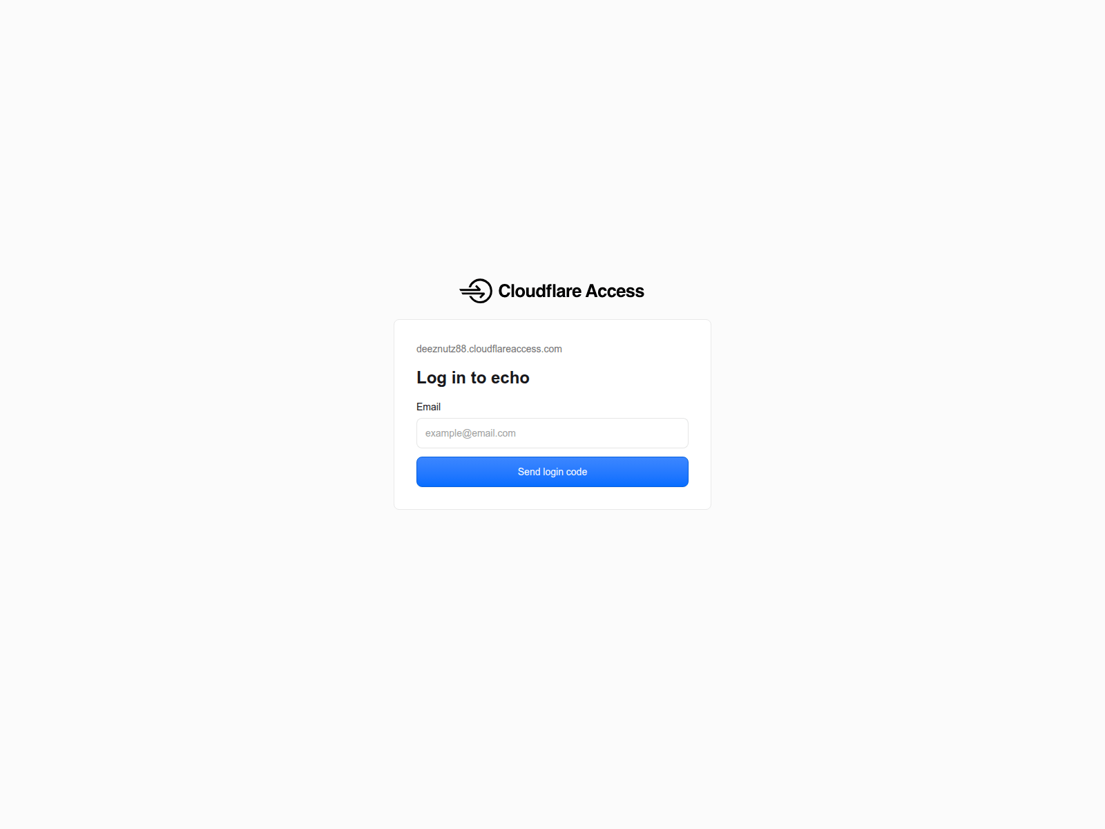 Screenshot of echo.langinspections.com