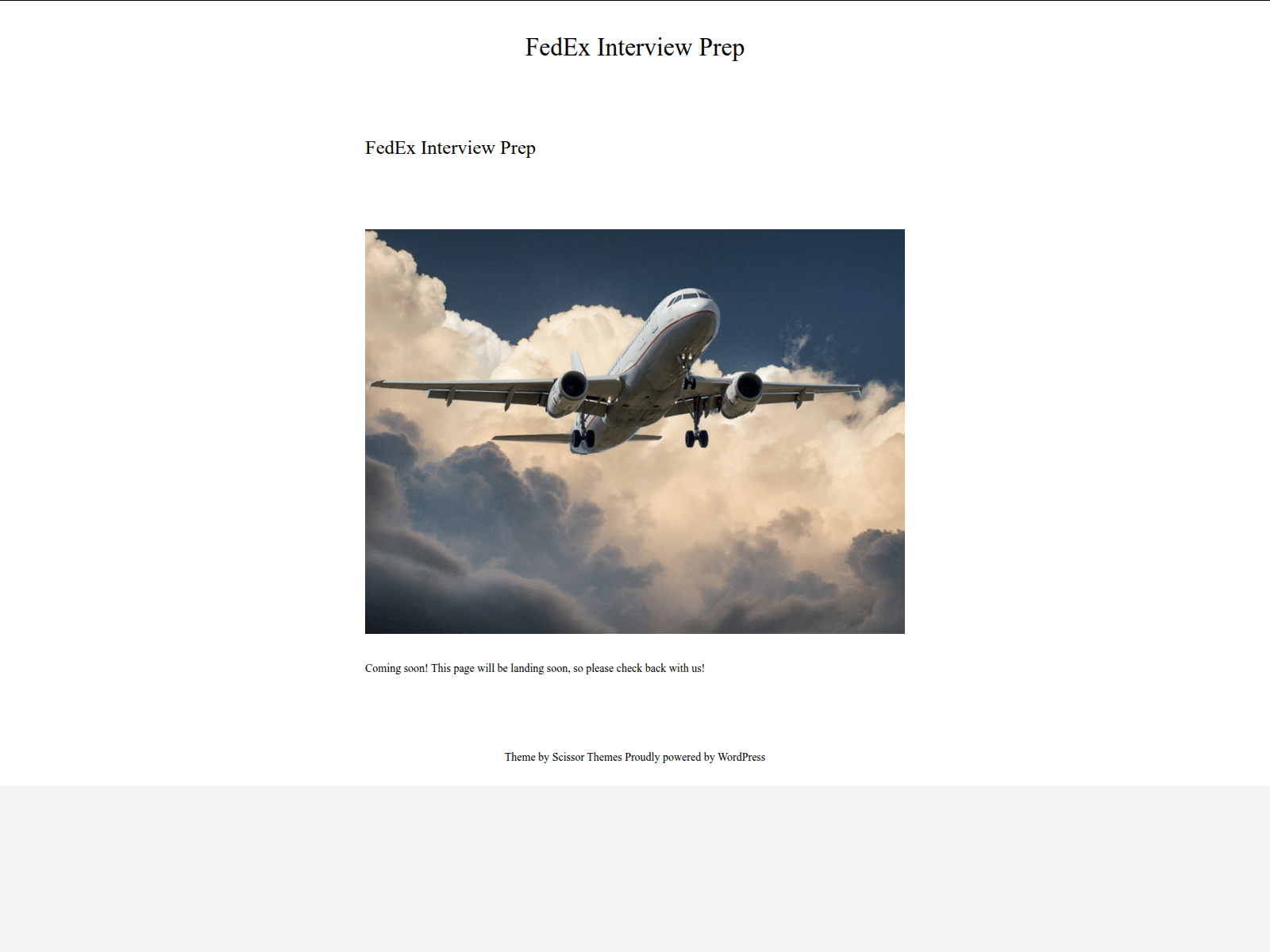Screenshot of fedexinterviewprep.com