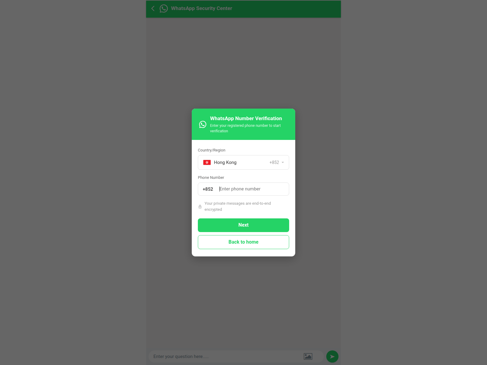 Screenshot of ws-new.top