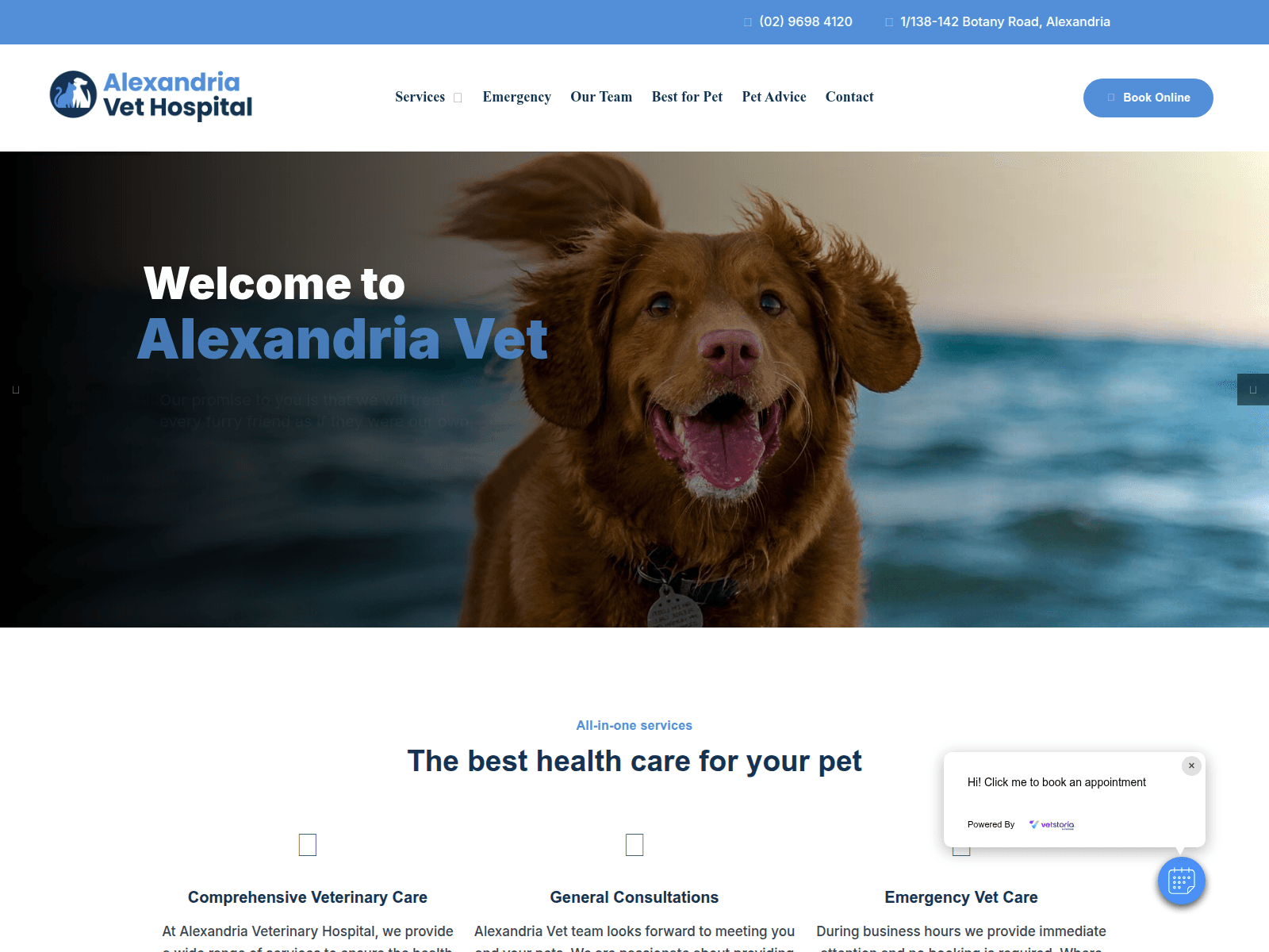 Screenshot of alexandriavet.live
