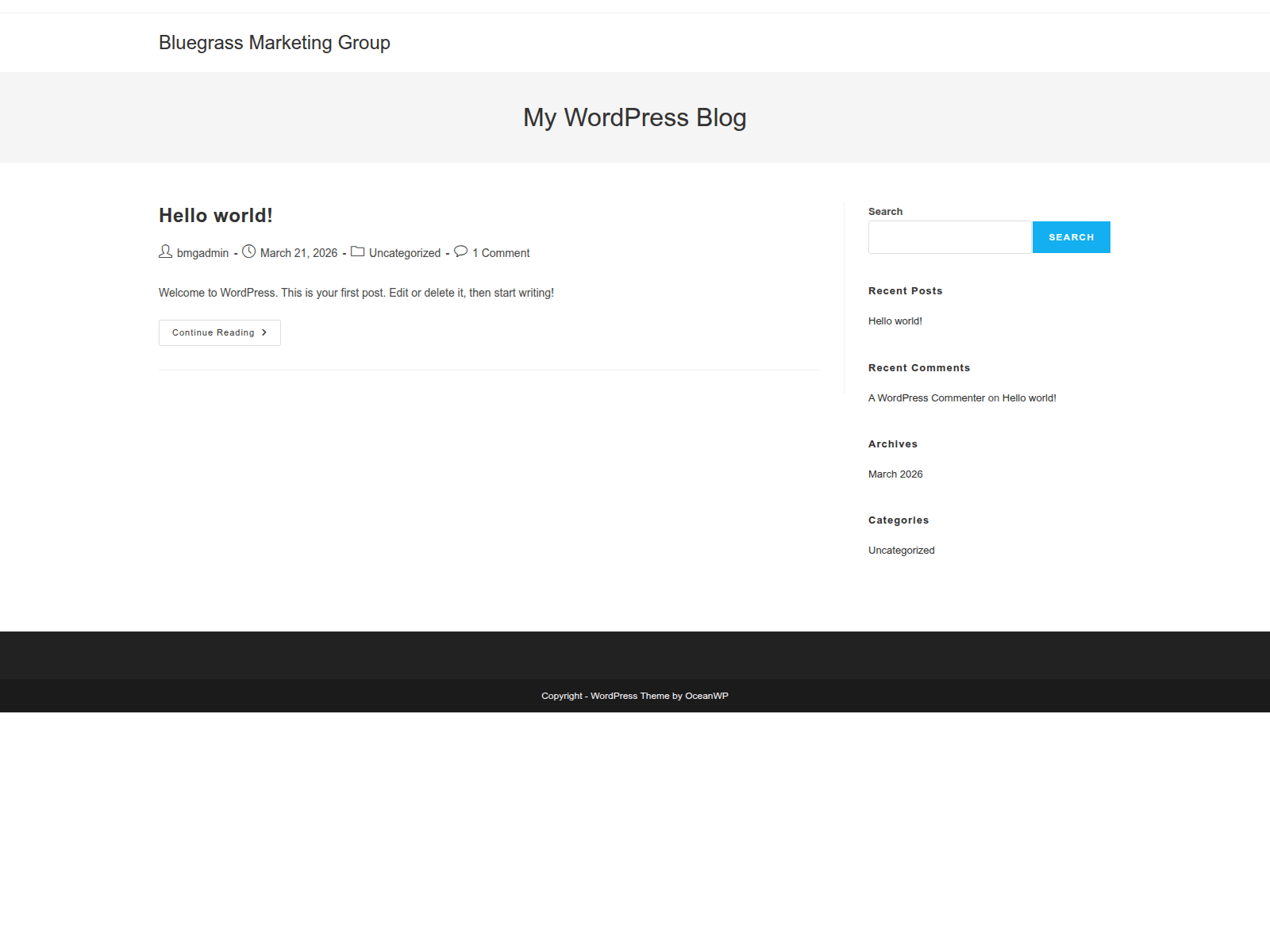 Screenshot of bluegrassmarketinggroup.com