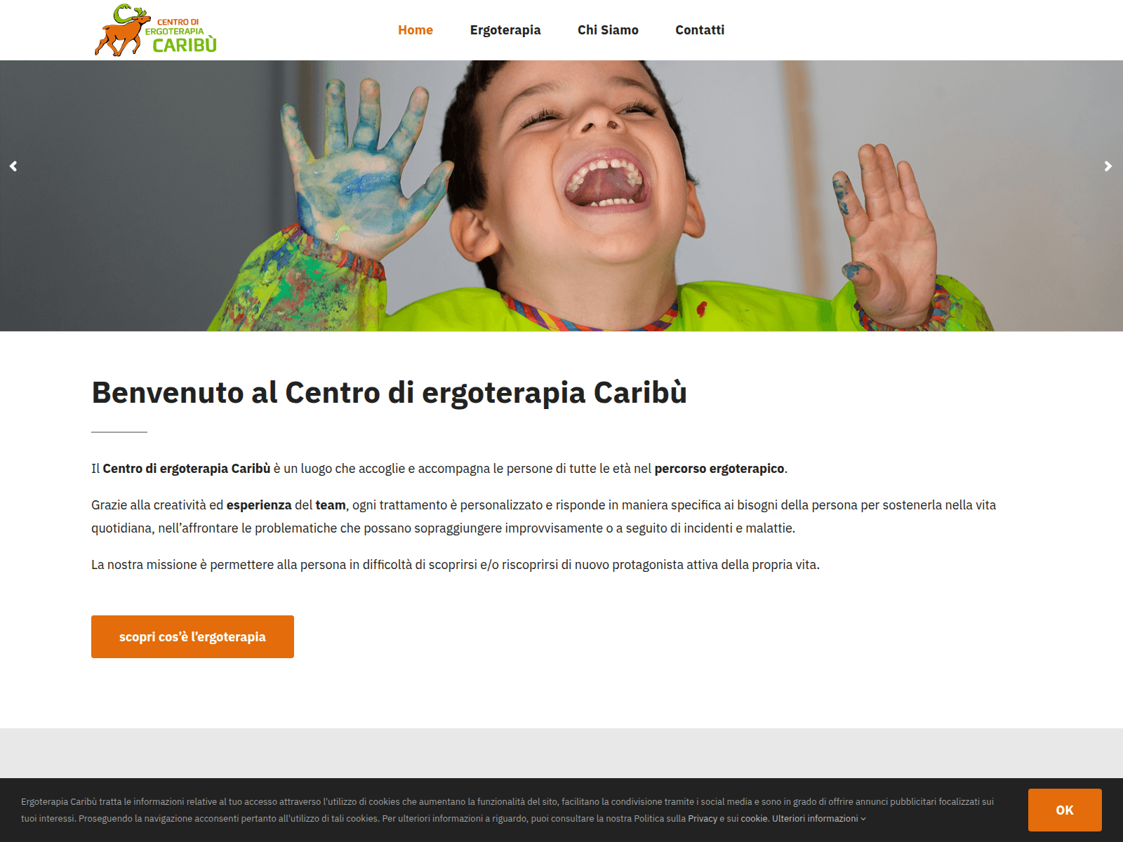 Captura de tela de ergoterapiacaribu.ch