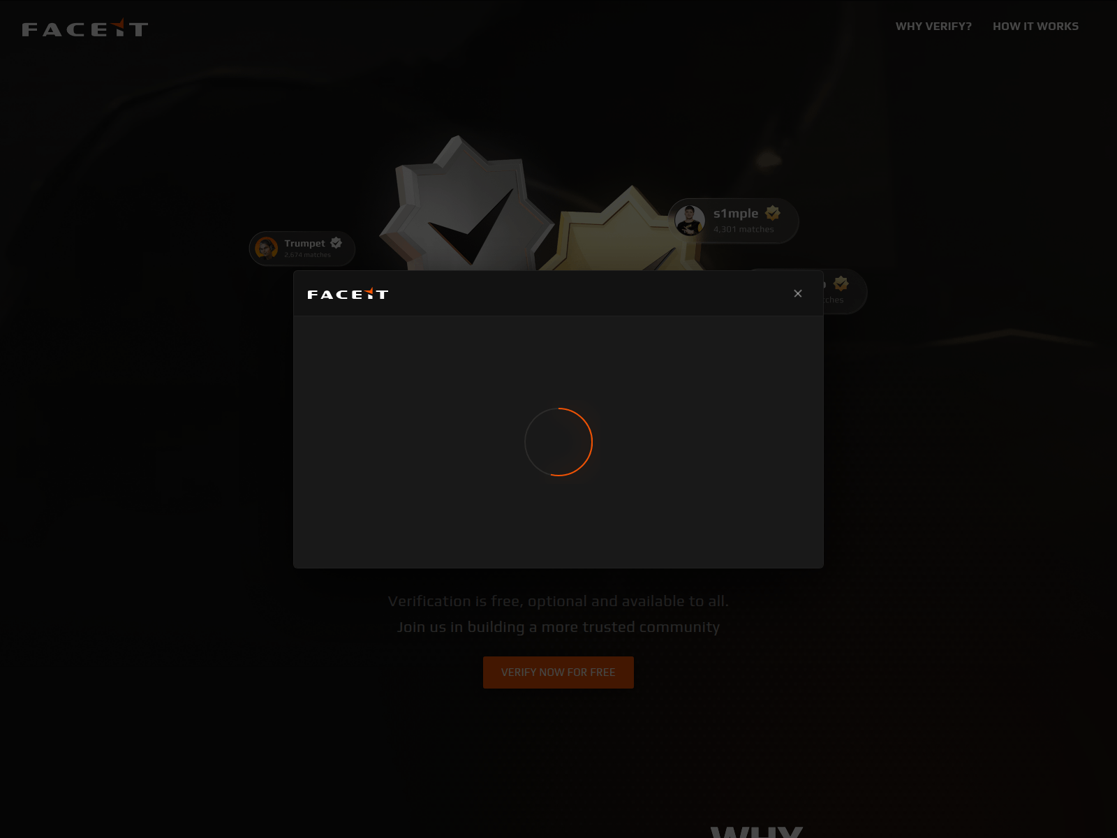 [스크린샷] faceit.accsyncing.com