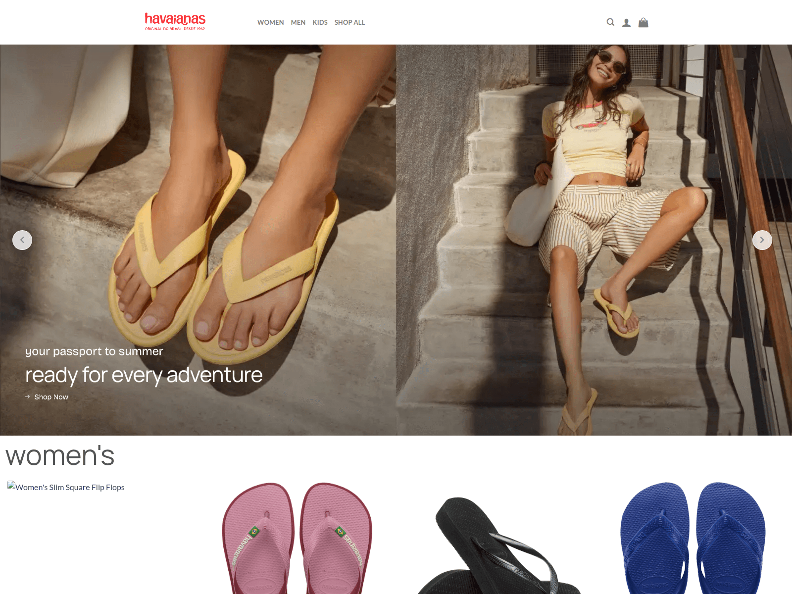 [Ekran görüntüsü] havaianasna.shop