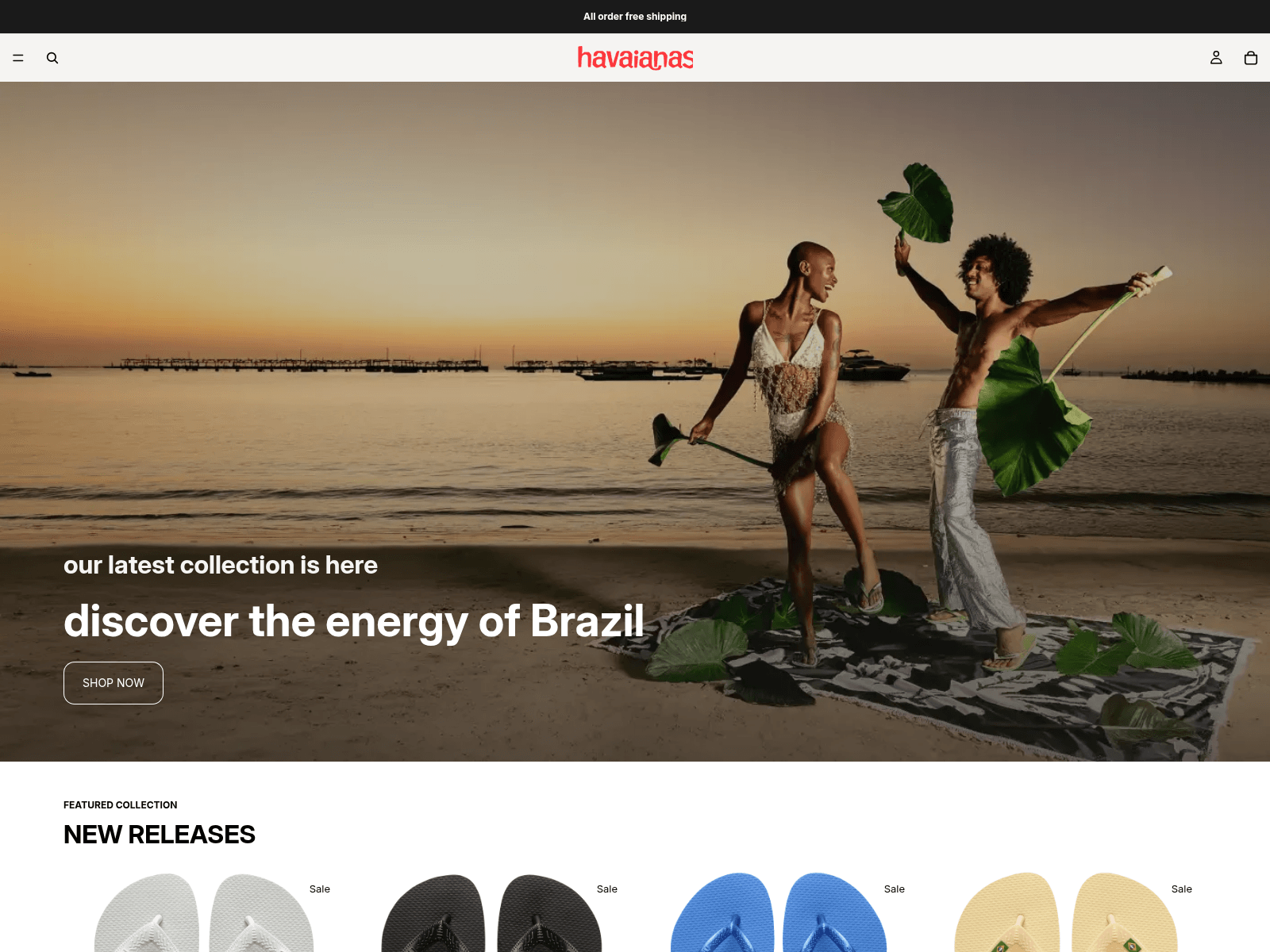 Screenshot of havaians.vip