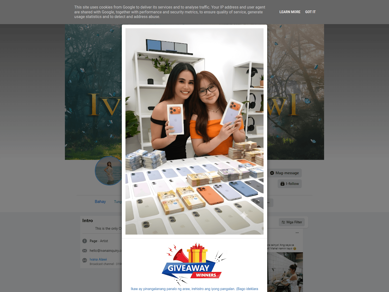 Screenshot of alawifns2026terma.blogspot.com