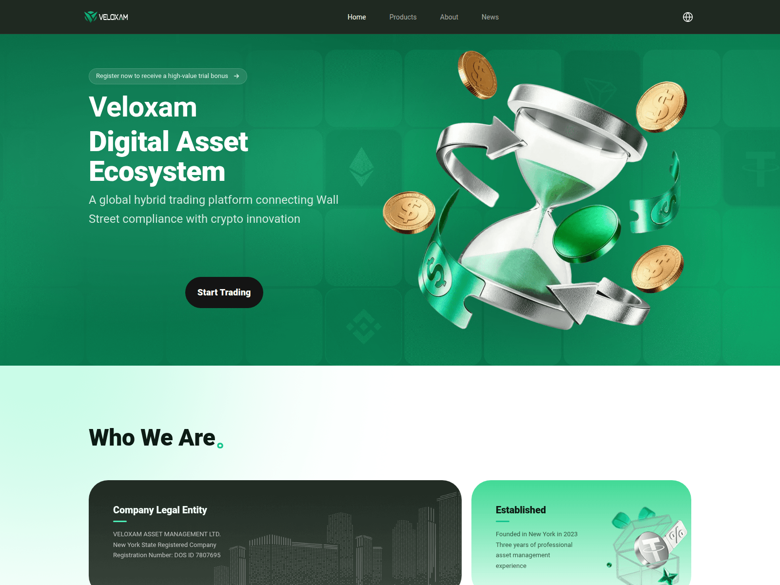 Screenshot of veloxam.com