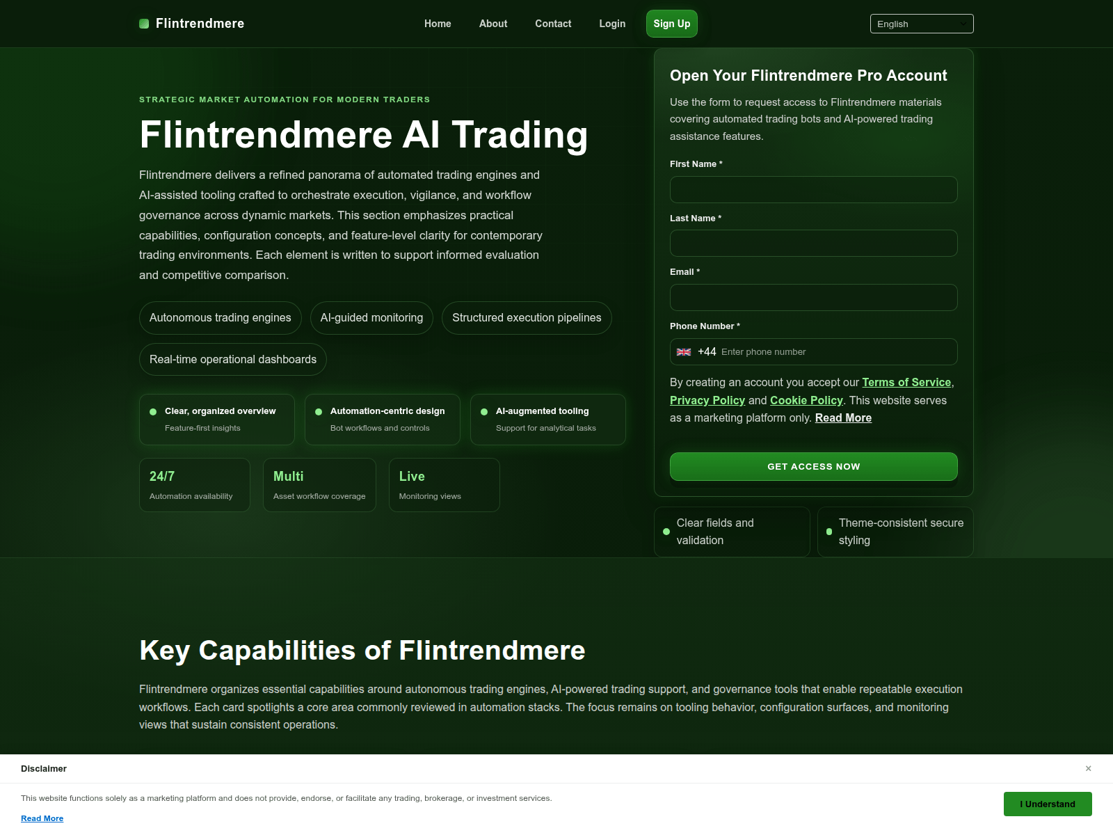 Screenshot of flintrendmere.shop